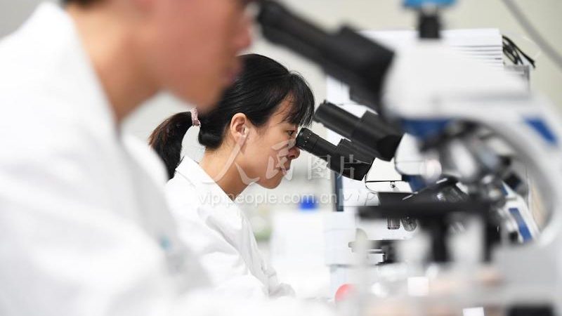 小分子CDMO项目外包：如何规避潜在风险，确保项目顺利进行