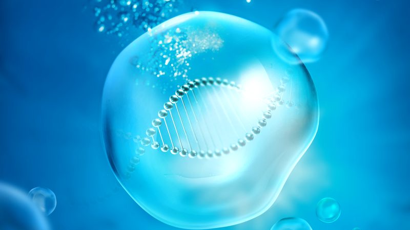 实验室资质等级分类：生物医药外包的隐形门槛