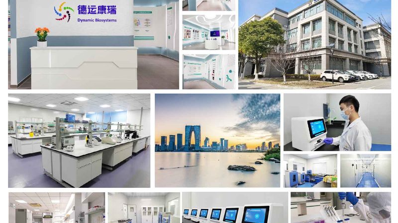 张江CDMO公司：揭秘医药研发背后的力量**