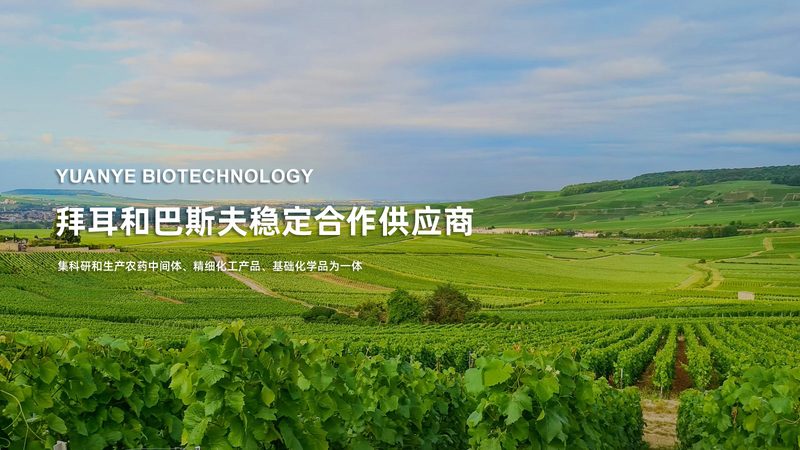 荧光引物修饰到底看什么