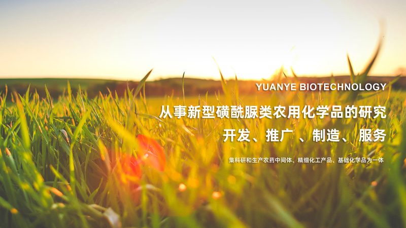 生物医药产业园选址废水处理要求解析**
