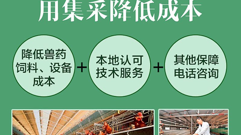 CRO公司怎么选？从项目执行细节看专业度