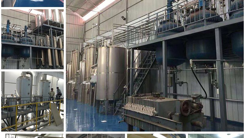 生物制品临床试验流程揭秘：从IND申报到上市，全过程解析