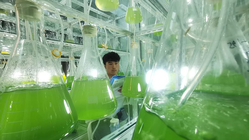 移液器：精准科研的得力助手，2024年十大品牌盘点**
